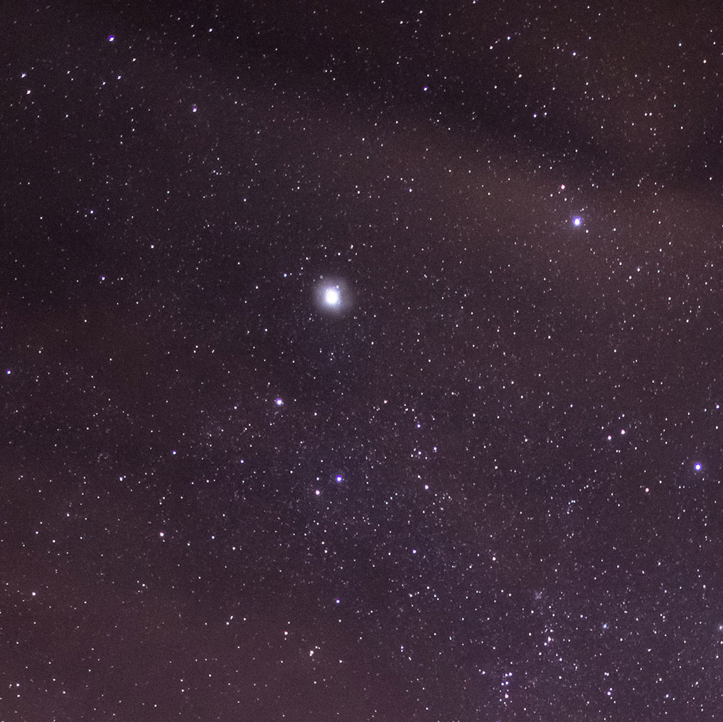 The North Star shining bright, within a galaxy of stars on a purple night sky.